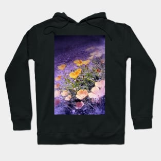 california poppies 2 Hoodie